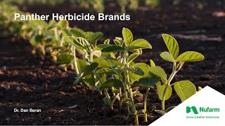 Panther Herbicide Brand Family Spotlight [upl. by Kaltman]