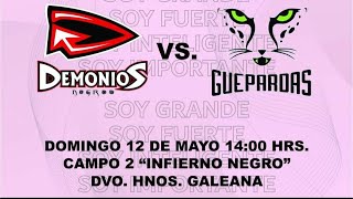 Previo Demonias Negras vs Guepardas liga FXF femenil [upl. by Naic]