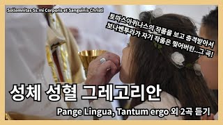 성체 성혈 대축일 그레고리안 Tantum Ergo지존하신 성체외 3곡 30분 듣기 [upl. by Shaum]