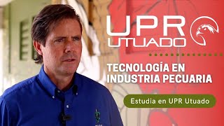 Industria Pecuaria Departamento de Tecnología Agrícola  𝙐𝙣𝙞𝙫𝙚𝙧𝙨𝙞𝙙𝙖𝙙 𝙙𝙚 𝙋𝙪𝙚𝙧𝙩𝙤 𝙍𝙞𝙘𝙤 𝙚𝙣 𝙐𝙩𝙪𝙖𝙙𝙤 [upl. by Tomkin]