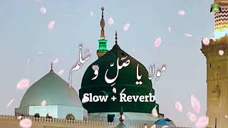 Maula Ya Salli Wa Sallim  Slowed  Lyrics  Best Naat [upl. by Allsopp]