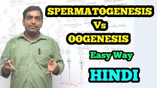 boards Spermatogenesis and Oogenesis Easy Way  Class 12 [upl. by Arej429]