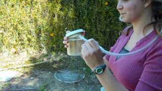 How to Make an Insect Collection Using an Aspirator [upl. by Ramat48]