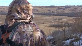 South Dakota Coyote Hunt 2015 Coyotes Barking Us [upl. by Yblok962]