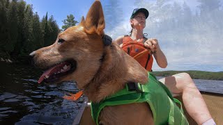 Canisbay Lake Algonquin Provincial Park  Solo Canoe Trip [upl. by Ellives]