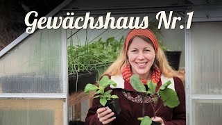 Gewächshaus vorbereiten amp bepflanzen 🌹 Erfahrungen und Tipps 🌹 Selbstversorger Garten [upl. by Oinesra]