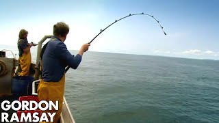 Gordon Ramsay Fishes amp Cooks Conger Eel  Gordon Ramsay [upl. by Karalynn]