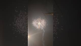 Anarchy 4 inch shell firework [upl. by Haughay818]