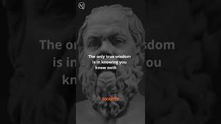 Socrates Paradox The Wisdom in Acknowledging Ignorance [upl. by Sedrul]