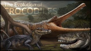 Evolution of Crocodiles 🐊 [upl. by Wolfie]