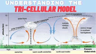 Cape Geography Unit 2 Tri cellular Model [upl. by Nnauol138]