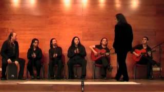 Noches de Flamenco  Noche gitana [upl. by Neelrahs]