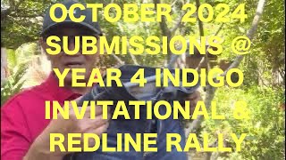 October 2024 Submissions  The Indigo Invitational amp Redline Rally Denim Fade Competitions [upl. by Biebel]