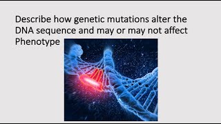 Describe how genetic mutations alter the DNA sequence and may or may not affect phenotype [upl. by Ahsinrats]