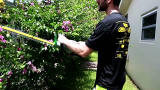 EGO HT2401 56v cordless hedge trimmer review vs Ryobi [upl. by Aneerb637]