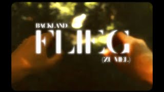 backland  Flieg Zu viel Official Video [upl. by Waneta]