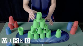 This is FAST Cup Stacking  WIRED [upl. by Eillit378]