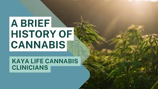 A Brief History of Cannabis  Kaya Life Cannabis Clinicians [upl. by Aicul]