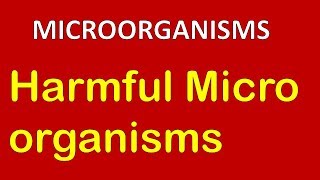 Harmful microorganisms Pathogens  NCERT Class 8 Science Chapter 2 Microorganisms 45 in Hindi [upl. by Nowd798]