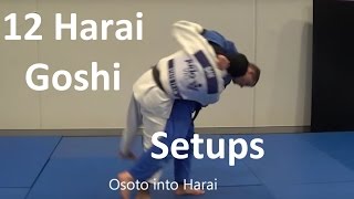 12 must know Harai goshi setups by Matt DAquino [upl. by Maroj568]