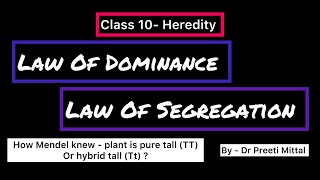 Mendel’s Law Of Dominance and Segregation [upl. by Arraet918]