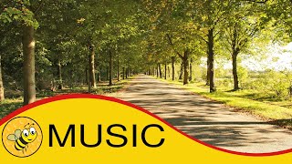 The Best Panpipes Music Calming Music Gentle Music Relaxing Muzak [upl. by Ferro]