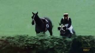 1967 Grand National  Foinavon [upl. by Medea]