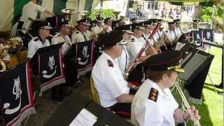 IRISH ARMY BAND3 HILLSBOROUGH [upl. by Zoarah]