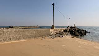 【4K Japan Local Walking】 Local Fishing Port and Fish Shadows in Yokkaichi  Mie Prefecture 102023 [upl. by Felicidad339]