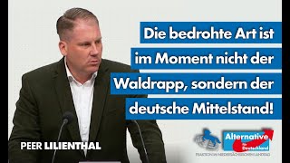 Die bedrohte Art ist im Moment nicht der Waldrapp sondern der deutsche Mittelstand Peer Lilienthal [upl. by Fraase487]