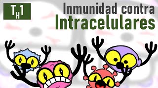 Inmunidad contra Virus Bacterias y Hongos Intracelulares  TH1 [upl. by Haywood]