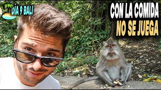 🐒 ASÍ ES el MONKEY FOREST en BALI  Día 9 [upl. by Nofpets]