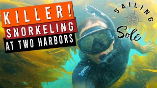 EP19  KILLER Snorkeling at TWO HARBORS  Solo Sailing CATALINA [upl. by Rezzani6]