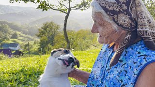 Amazing life of a grandmother on top of a mountain Rural life in the Carpathians [upl. by Pelagias919]