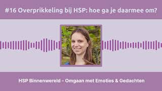 16 Overprikkeling bij HSP hoe ga je daarmee om [upl. by Nohsreg]