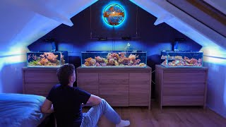 NO Skimmer NO Filter Dannys Aquariums reveals his SECRETS [upl. by Dhaf889]