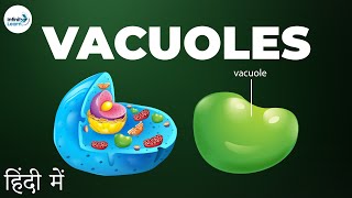 Cells  Lesson 13  Vacuoles  in Hindi हिंदी में   Infinity Learn [upl. by Notserp]