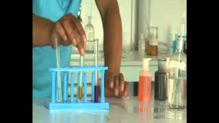 Lab preparation of hydrogen gas [upl. by Esinahs819]