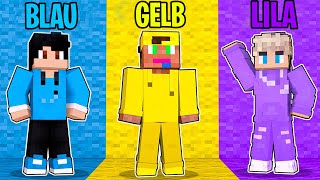 Minecraft aber wir haben NUR 1 FARBE [upl. by Husein447]