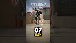 Fielding Practice  Day 07 📍 Fielding Drill at Home  30daychallenge fieldingdrills shorts [upl. by Lat]