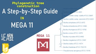 How to Construct a Phylogenetic Tree in MEGA 11 A StepbyStep Guide [upl. by Holladay]