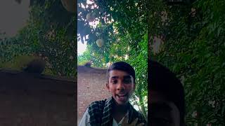 Namaskar nahin Karen naukari mere video ke dekhne ke liye follow Karen subscriber Karen [upl. by Sublett]