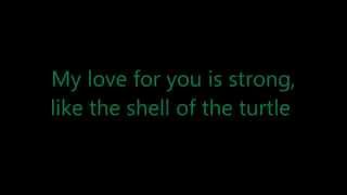 Turtle Song Lyrics PBB All In [upl. by Aicissej]