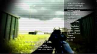 Script Mw3 Level Up [upl. by Burkhart324]