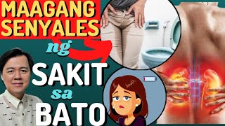 Maagang Senyales ng Sakit sa Bato Kidneys  By Doc Willie Ong Internist and Cardiologist1411 [upl. by Nalloh]