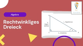 Trigonometrie im rechtwinkligen Dreieck Grundlagen und Anwendungen [upl. by Skricki]