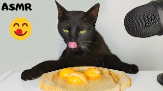 Cat eating Egg Yolk ASMR [upl. by Perkin]