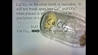 Soluble amp Insoluble Ionic Compounds [upl. by Chun255]