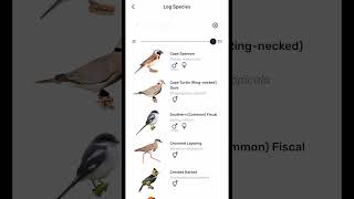 How to use the Birda App The 30 second guide birdaapp birds [upl. by Chloris]