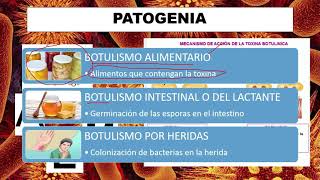 APRENDE sobre BOTULISMO Patogenia signos síntomas y vacuna [upl. by Riabuz]